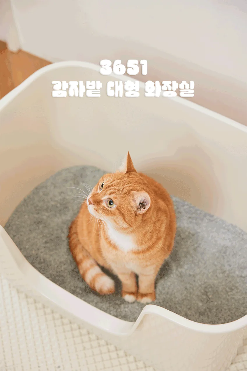 고양이 화장실 네 번 바꾸고 나서야 이 제품 샀습니다 · 이미지 5