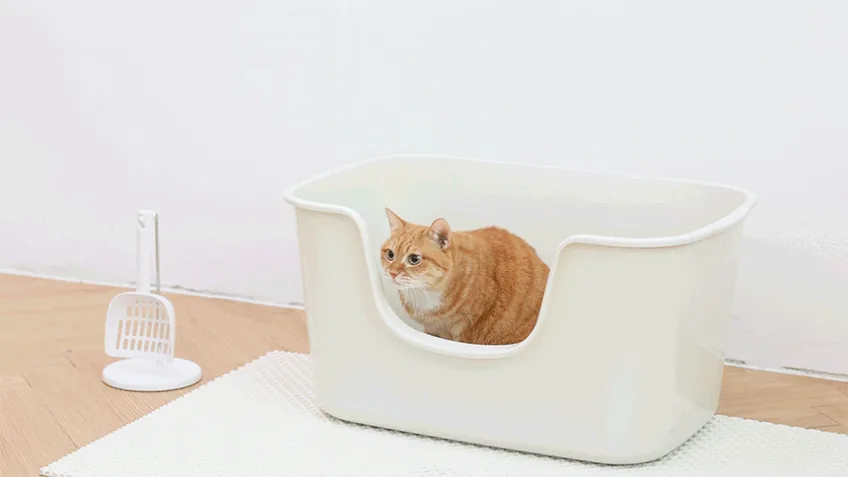 고양이 화장실 네 번 바꾸고 나서야 이 제품 샀습니다 · 이미지 7