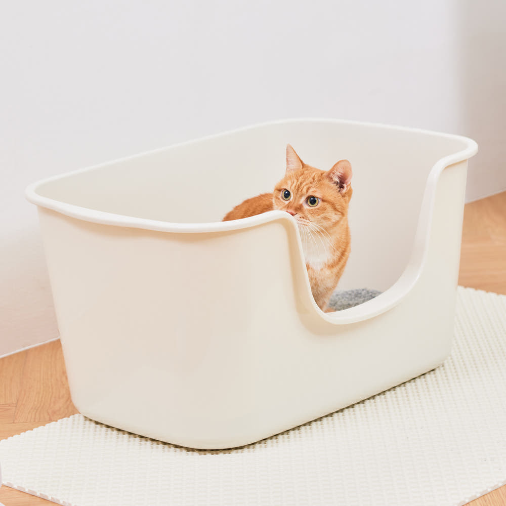 고양이 화장실 네 번 바꾸고 나서야 이 제품 샀습니다 · 이미지 1