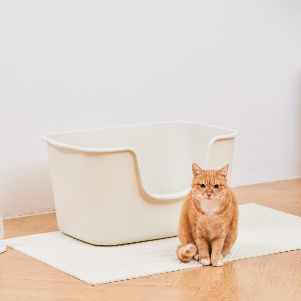 고양이 화장실 네 번 바꾸고 나서야 이 제품 샀습니다 · 이미지 4