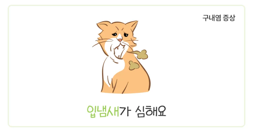 고양이 오랄 앤 허피스 케어 포켓, 구내염 걱정 있는 냥이 사료 후기 · 이미지 5