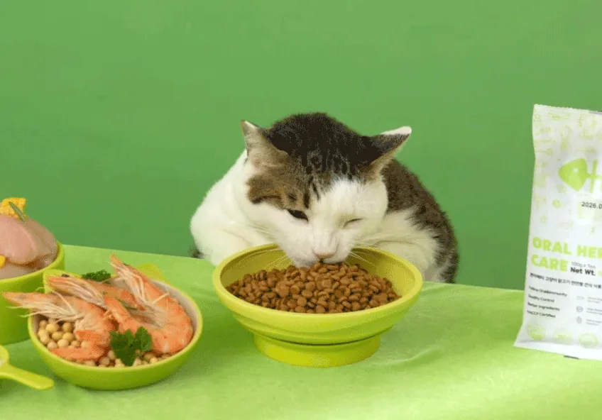 고양이 오랄 앤 허피스 케어 포켓, 구내염 걱정 있는 냥이 사료 후기 · 이미지 6