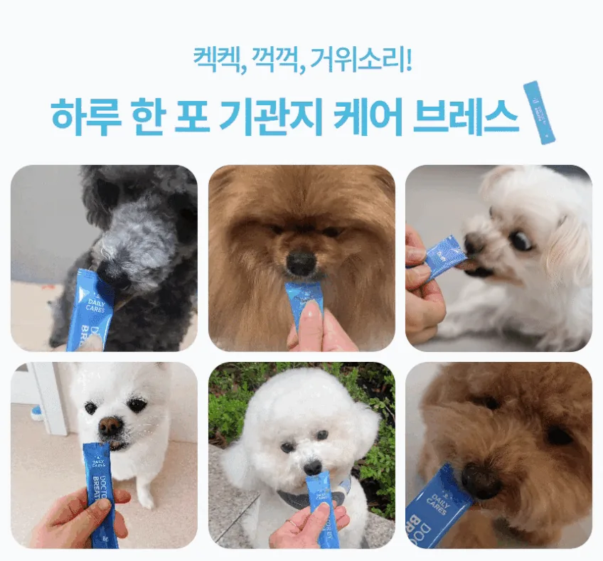 보리가 켁켁거릴 때마다 마음이 쪼그라들었는데, 3주 후가 달랐습니다 · 이미지 5