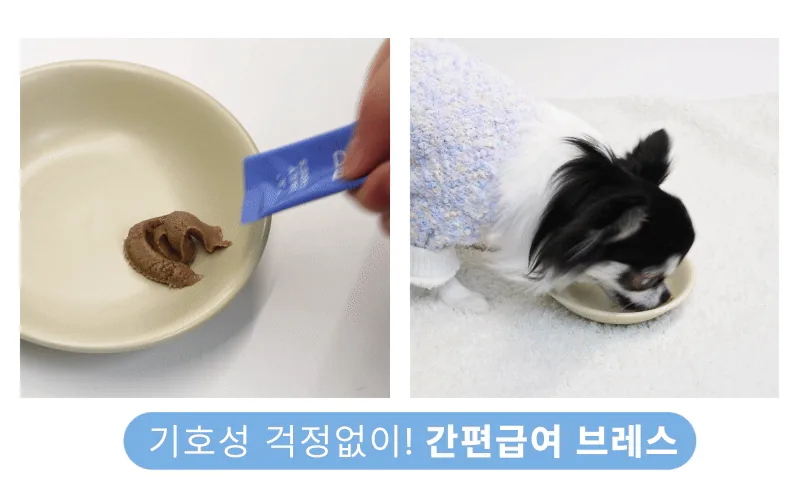 보리가 켁켁거릴 때마다 마음이 쪼그라들었는데, 3주 후가 달랐습니다 · 이미지 6