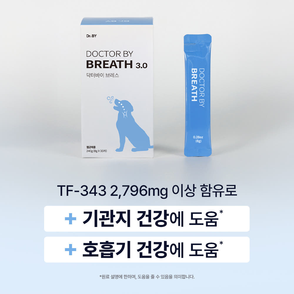 보리가 켁켁거릴 때마다 마음이 쪼그라들었는데, 3주 후가 달랐습니다 · 이미지 3