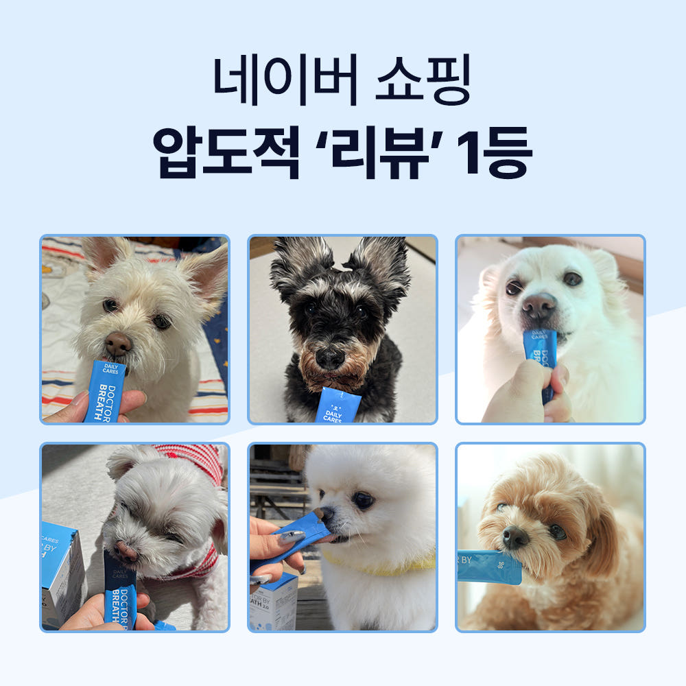 보리가 켁켁거릴 때마다 마음이 쪼그라들었는데, 3주 후가 달랐습니다 · 이미지 2