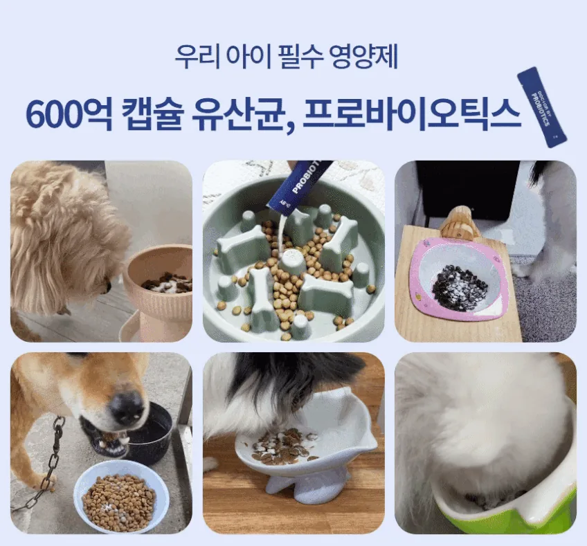 보리 설사 한 달, 유산균 바꾸고 나서 달라진 것 · 이미지 7