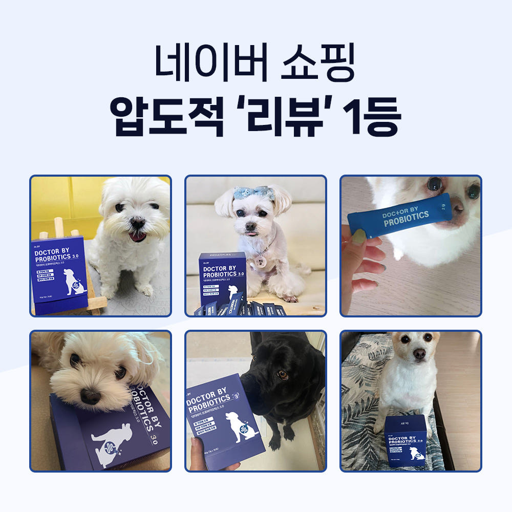보리 설사 한 달, 유산균 바꾸고 나서 달라진 것 · 이미지 2