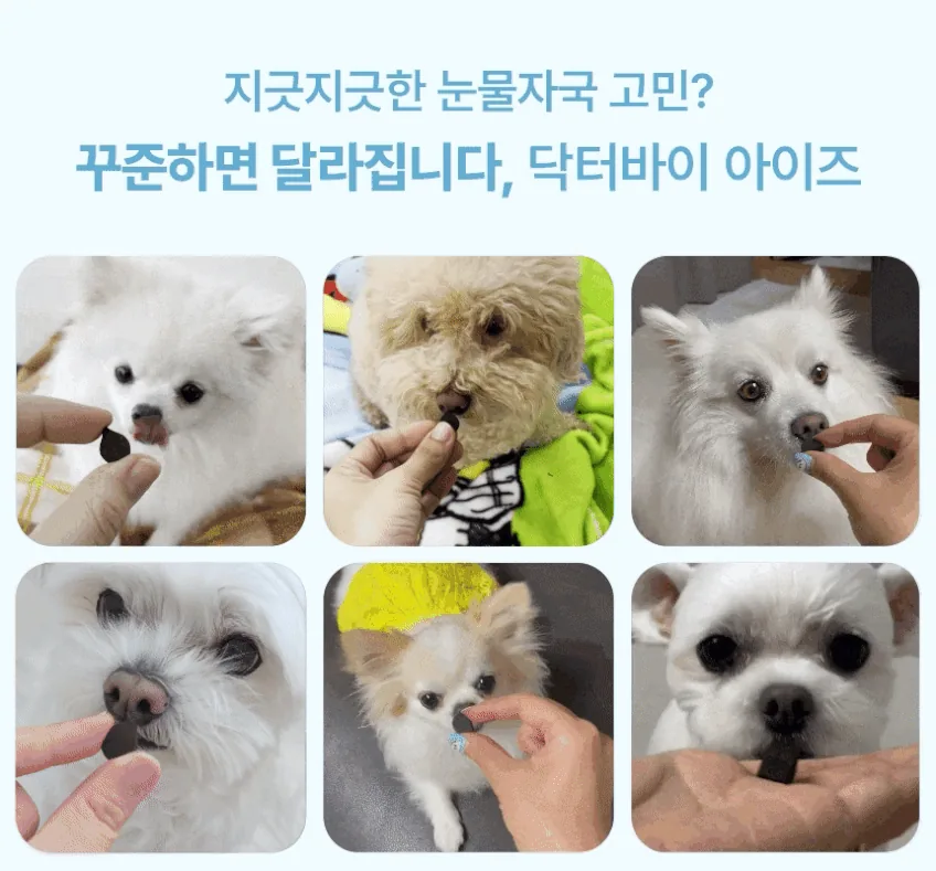 N_닥터바이아이즈강아지_20260716_20260716_701 · 상세 리뷰 · 이미지 5