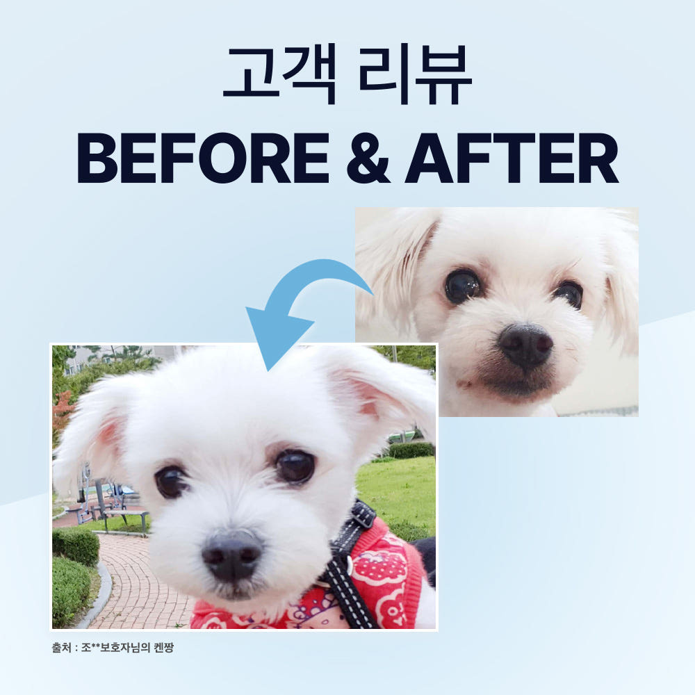 N_닥터바이아이즈강아지_20260716_20260716_701 · 상세 리뷰 · 이미지 2