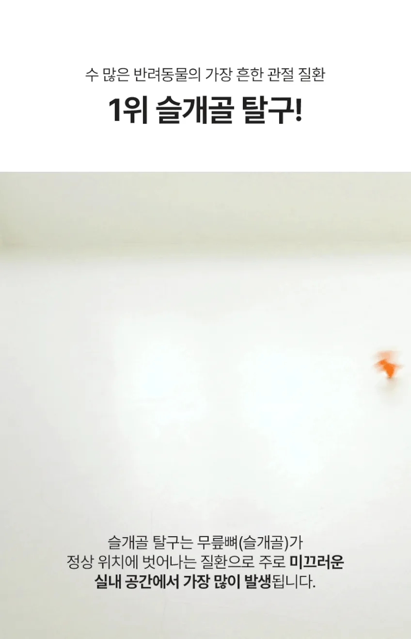 디팡 펫 미끄럼방지 매트 140x180cm 후기, 보리 슬개골 보호 3주 실사용 · 이미지 6
