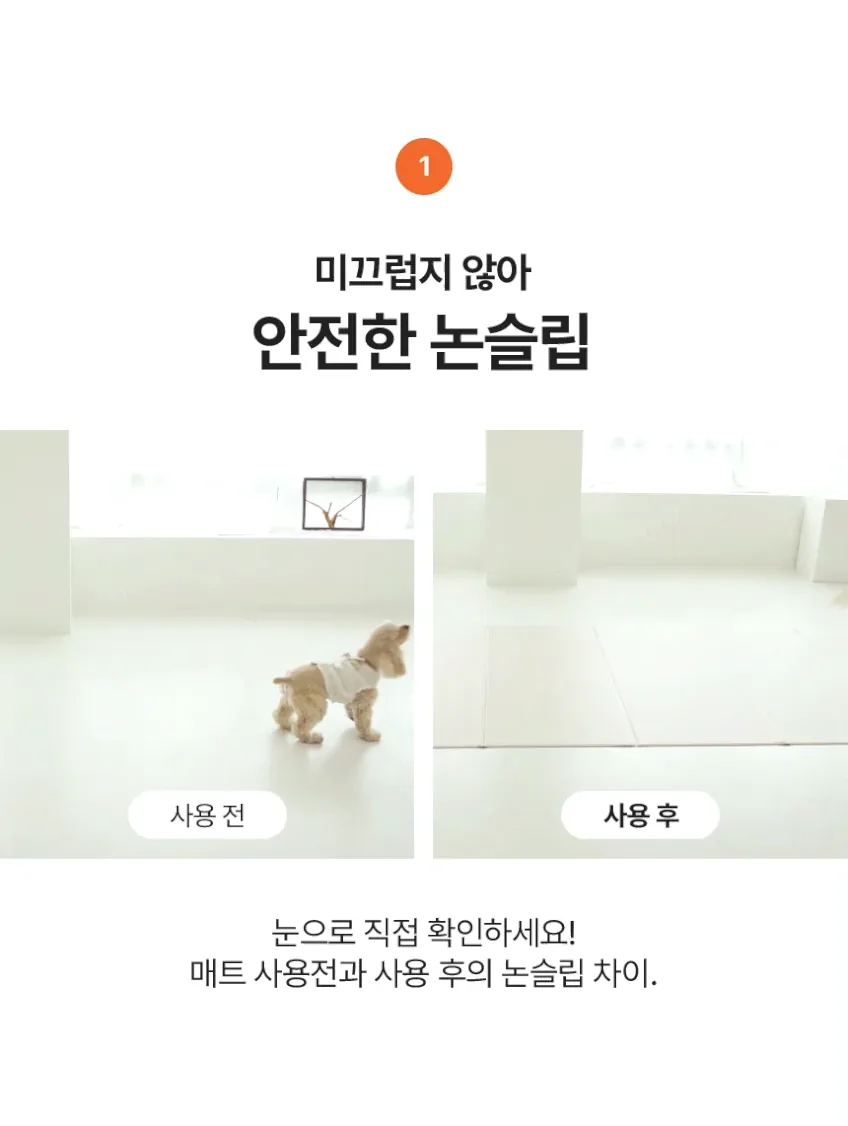 디팡 펫 미끄럼방지 매트 140x180cm 후기, 보리 슬개골 보호 3주 실사용 · 이미지 5