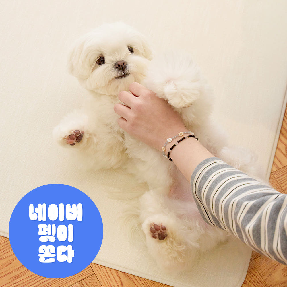 디팡 펫 미끄럼방지 매트 140x180cm 후기, 보리 슬개골 보호 3주 실사용 · 이미지 1