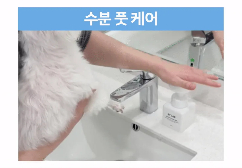 바이랩 강아지 발바닥 세정제 후기, 산책 후 펌프 한 번으로 끝내기 · 이미지 7