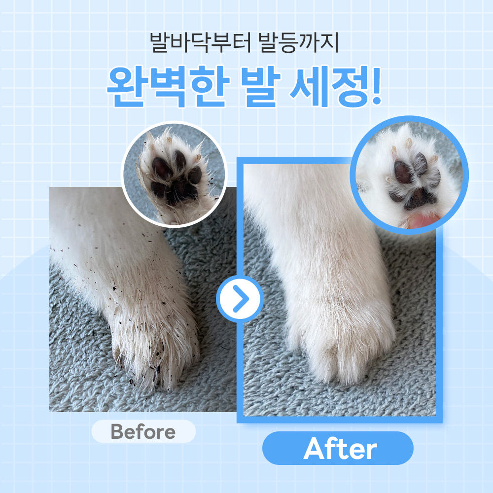 바이랩 강아지 발바닥 세정제 후기, 산책 후 펌프 한 번으로 끝내기 · 이미지 3