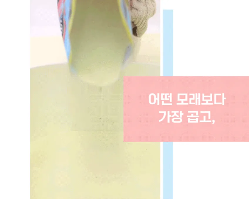 고양이 모래 다섯 번 바꾸고 여기서 멈춘 이유 · 이미지 6