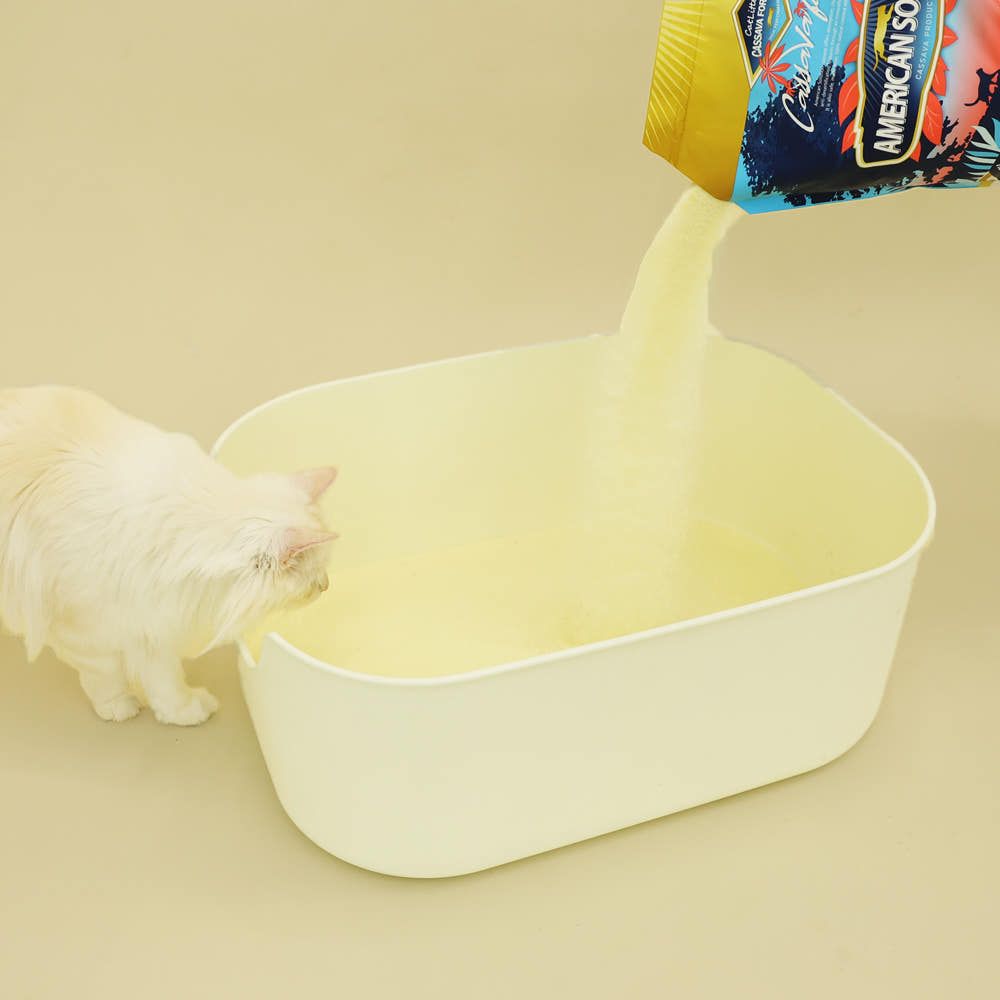 고양이 모래 다섯 번 바꾸고 여기서 멈춘 이유 · 이미지 4