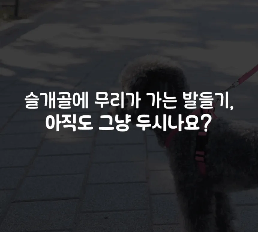 올지 강아지 하네스 리드줄 기도압박 없는 X자 구조 간편착용 산책용품 · 이미지 7