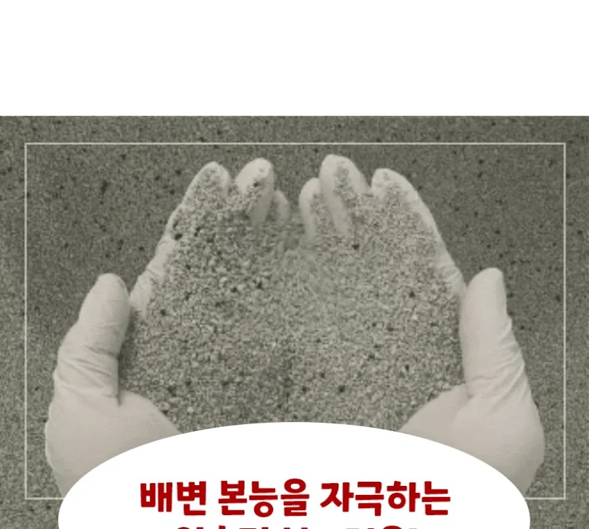 캐네디언샌드 고양이모래 후기, 먼지 없는 무향 모래 3주 실사용 · 이미지 7
