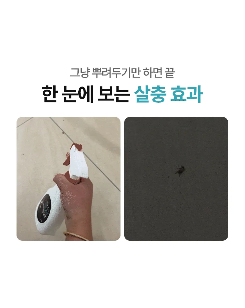 페스트세븐가드 살충제 250ml 후기, 바퀴벌레·빈대 신경독 스프레이 실사용 · 이미지 6