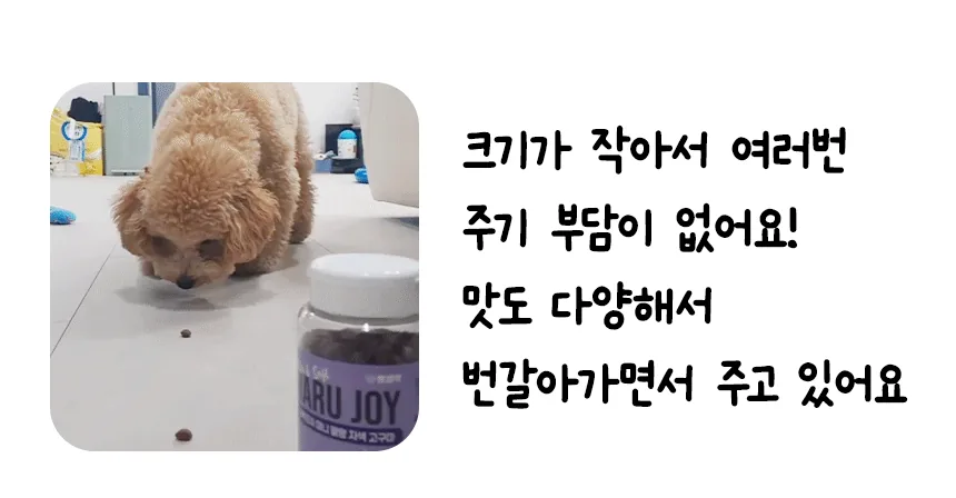 펫생각 고구마 간식 후기, 저칼로리 노즈워크 훈련용 추천 (쌍둥이 아빠 검증) · 이미지 6