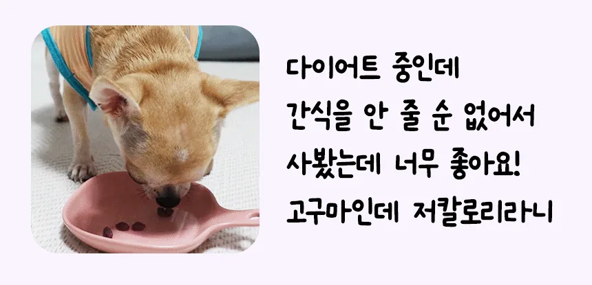 펫생각 고구마 간식 후기, 저칼로리 노즈워크 훈련용 추천 (쌍둥이 아빠 검증) · 이미지 7