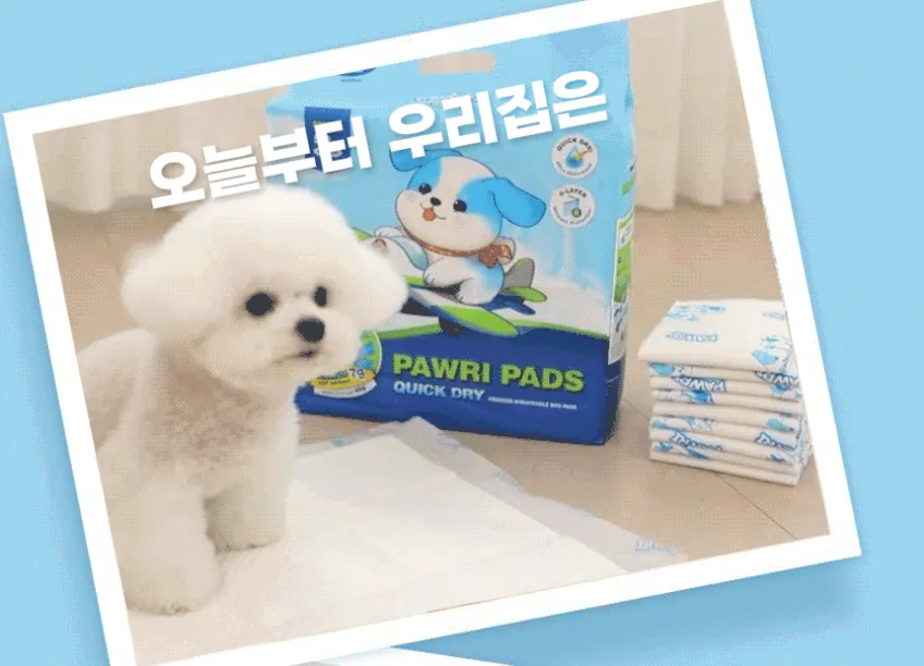 배변패드 다섯 번 바꾸고 나서야 보리가 밟아도 발이 깨끗한 걸 발견했습니다 · 이미지 6